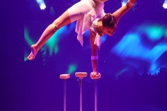 042-3-american-circus-fest-2024