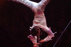 095-li-wei