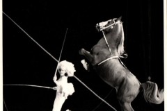 festival-del-circo-di-monte-carlo-1981-zacconer-018