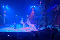 circo-africa-moira-orfei-junior-martino-cavallino-lecce-2026-foto-cantoro-1