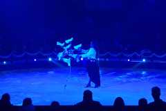 circo-africa-moira-orfei-junior-martino-cavallino-lecce-2026-foto-cantoro-19
