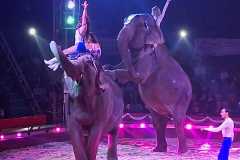 circo-africa-moira-orfei-junior-martino-cavallino-lecce-2026-foto-cantoro-21