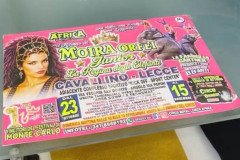 circo-africa-moira-orfei-junior-martino-cavallino-lecce-2026-foto-cantoro-27