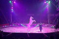 circo-africa-moira-orfei-junior-martino-cavallino-lecce-2026-foto-cantoro-5