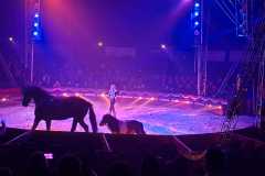 circo-africa-moira-orfei-junior-martino-cavallino-lecce-2026-foto-cantoro-8