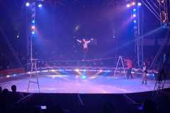 circo-africa-moira-orfei-junior-martino-cavallino-lecce-2026-foto-cantoro-9