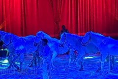 circo-africa-paolo-orfei-royal-loris-dell-acqua-martin-eusanio-martino-2024-torino-013