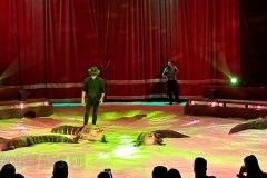 circo-africa-paolo-orfei-royal-loris-dell-acqua-martin-eusanio-martino-2024-torino-023