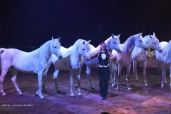 American Circus Napoli 21-01-18 Della Calce sp