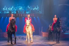 Arlette-Gruss-03-10-26-25
