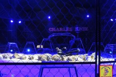 Charles-Knie_47