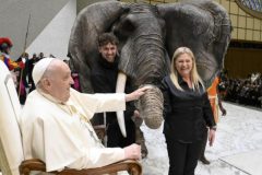 Circafrica-08-01-25-08