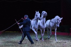 Wegliams-San-Giuseppe-06