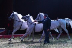 Wegliams-San-Giuseppe-07