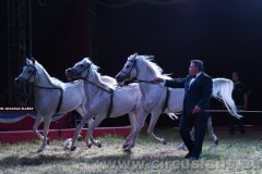 Wegliams-San-Giuseppe-08
