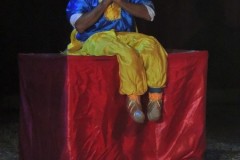 DSCN4334