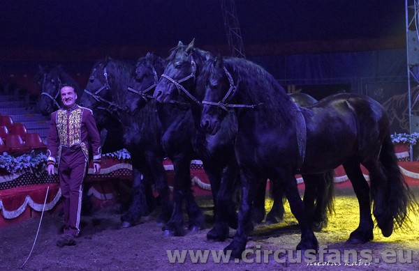 CIRCO CITTA' DI ROMA show a Torre del Greco