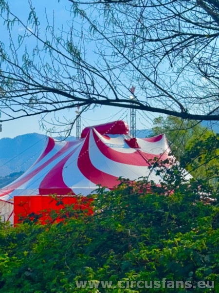 CIRCO DELLE STELLE 2025: programma e foto dello show