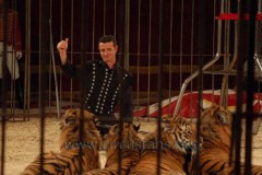 017-Alex-Franchetti