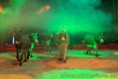 DSC00227-1