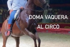 Doma-Vaquera-05
