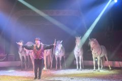 gitano-famiglia-daniele-elvio-togni-verona-grande-mela-2025-01-2