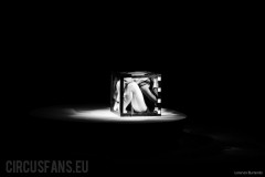 gravity-mister-david-torino-2023-12