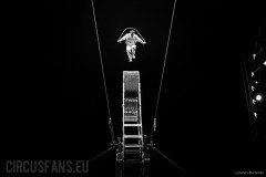 gravity-mister-david-torino-2023-15