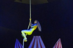 DSCN8237