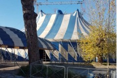 circo-lara-orfei-2021-natale-santa-maria-capua-vetere-02-1-scaled