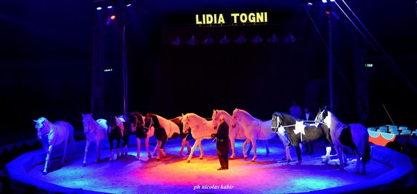 CIRCO LIDIA TOGNI (VINICIO TOGNI CANESTRELLI): Le foto dello spettacolo 2020
