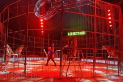 circo-lidia-togni-bari-torre-quetta-2022-02