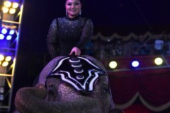 DSC_3952e
