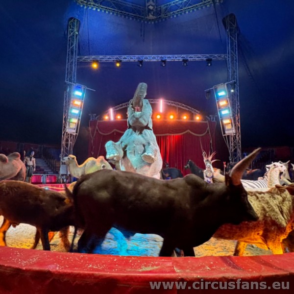 MAYA ORFEI CIRCO MADAGASCAR: IL CIRCO TRADIZIONALE