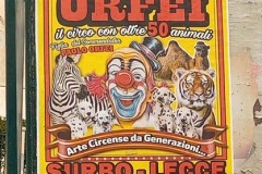 circo-marina-orfei-surbo-lecce-2022-cantoro-01