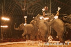 circo-medrano-012