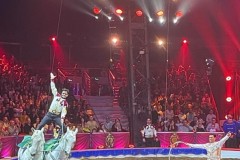 IMG-20250123-WA0181