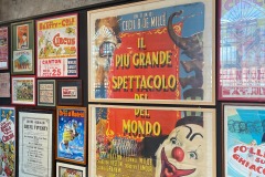 mostra-the-show-must-go-on-lugo-jabba-farne-2023-07