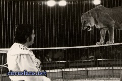1978.-Ciccio-al-Circo-Niuman-con-un-gruppo-di-7-leonesse