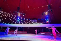 circo-paolo-orfei-royal-loris-bari-2022-08
