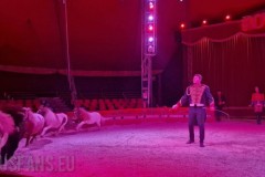 circo-paolo-orfei-royal-loris-bari-2022-09