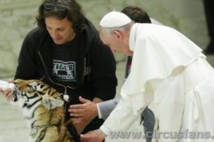 Papa Francesco e il circo pa
