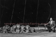 Jean_richard_and_his_lionesses_19711
