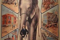 circus,vintage poster