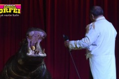 circo-romina-orfei-2021-castello-cisterna-dellacalce-circusfans-053