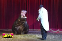 circo-romina-orfei-2021-castello-cisterna-dellacalce-circusfans-054
