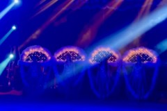 IMG_9481
