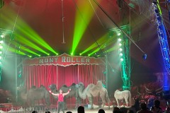 circo-rony-roller-vassallo-roma-2023-011