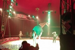 royal-circus-loris-emidio-bellucci-di-mosca-eusanio-martino-bari-bariblu-2021-035