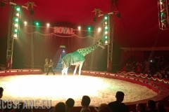 royal-circus-loris-emidio-bellucci-di-mosca-eusanio-martino-bari-bariblu-2021-037